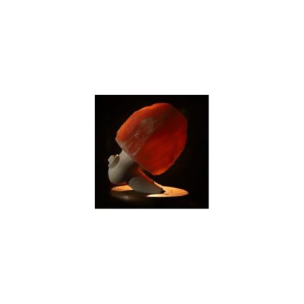 Natural Shape  Night Wall Salt Lamp