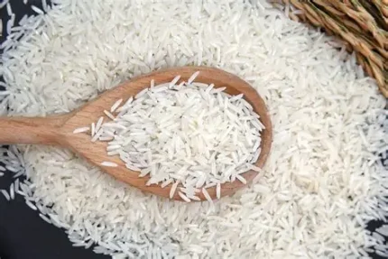 Basmati Rice
